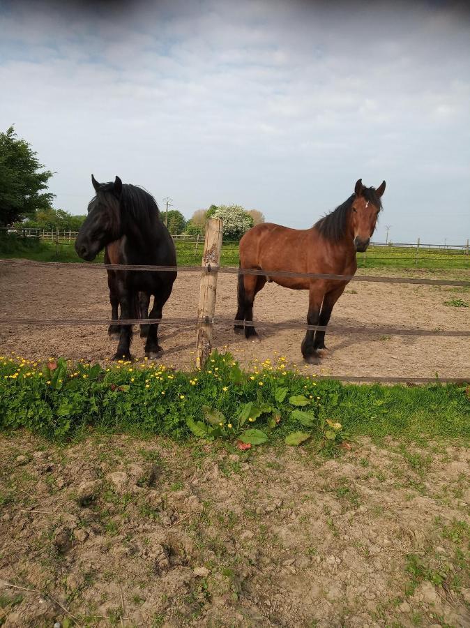 Veritable Roulotte Hippomobile "La Bailleul" Mentheville Kültér fotó