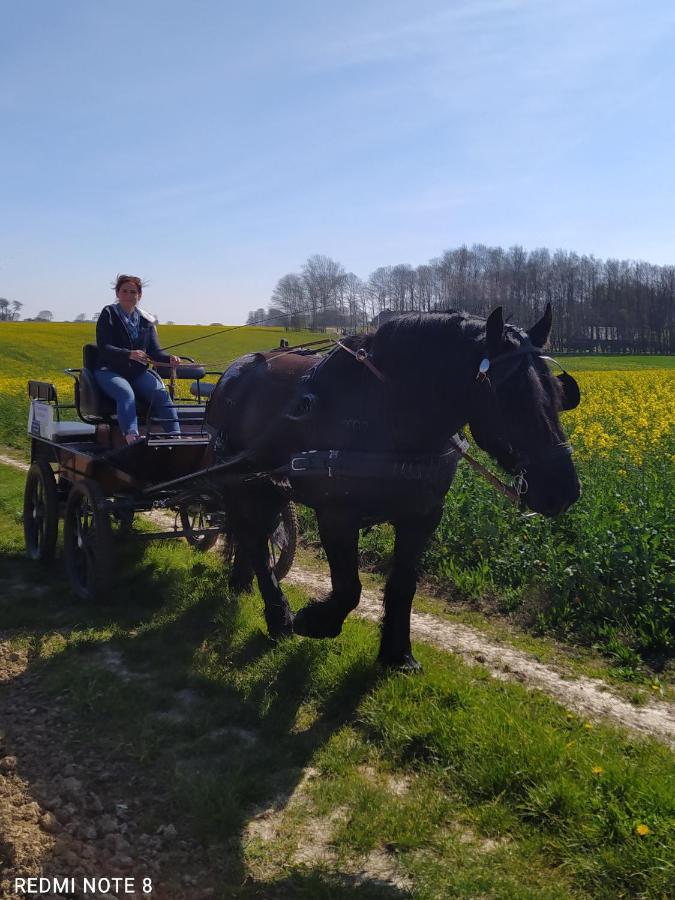 Veritable Roulotte Hippomobile "La Bailleul" Mentheville Kültér fotó